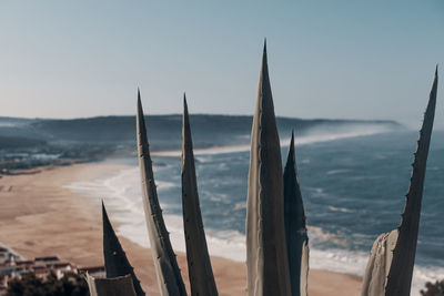 Panoramic view of cactus on beach against sky