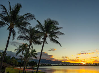 Silhouette palm trees against sky during sunset