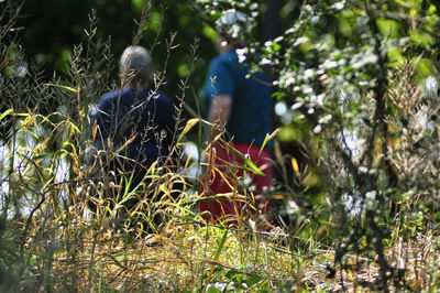 Rear view of people on plants