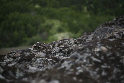 Close-up of rock