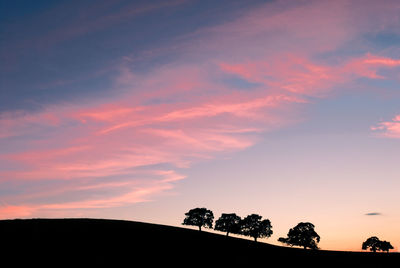Low angle view of silhouette trees against sky during sunset