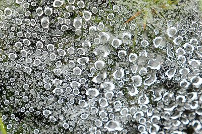 Full frame shot of pattern