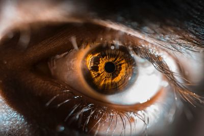 Close-up portrait of human eye