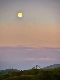 Scenic view of field against sky at sunset