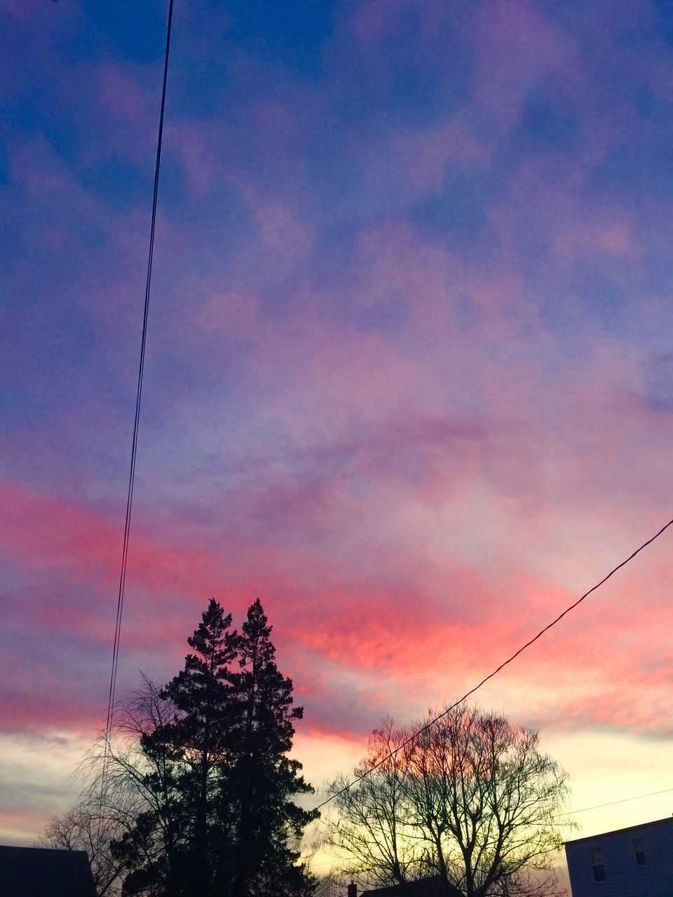 low angle view, sky, silhouette, sunset, tree, cloud - sky, power line, orange color, beauty in nature, nature, cloud, tranquility, dusk, cloudy, scenics, cable, high section, dramatic sky, branch, bare tree