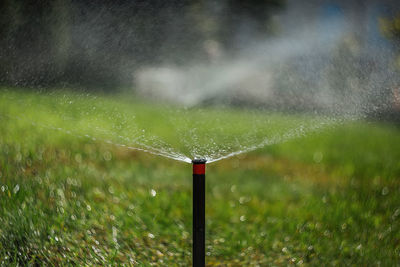 Water splashing on field during rainy season