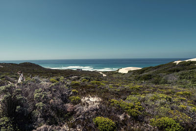 Scenic view of sea against clear sky