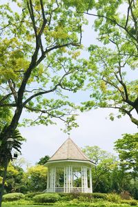 View of trees