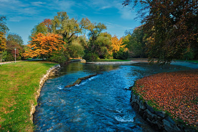 Golden autumn fall october in famous munich relax place - englishgarten. munchen, bavaria, germany