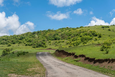 Road amidst green landscape against sky