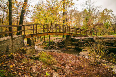 Footbridge in forest