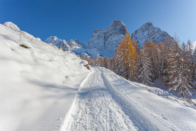 Snowy path towards alpine hut with orange larches and mount pelmo northern side in the background