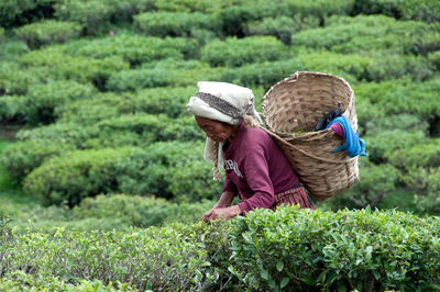 Man working in basket