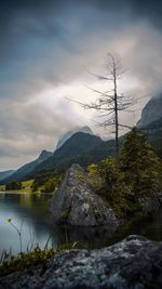 Scenic view of tree by mountain against sky