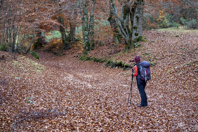 Rear view of man walking on dirt road