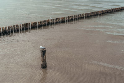 High angle view of wooden posts on beach