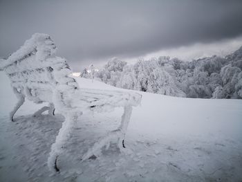 Scenic view of snow covered field against sky