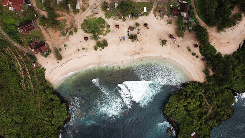 High angle view of trees