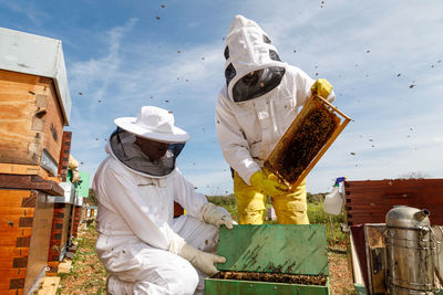 Professional male and female beekeepers inspecting honeycomb with bees while working in apiary in summer day