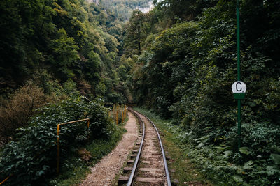 Railroad tracks by river amidst trees in the canyon against sky