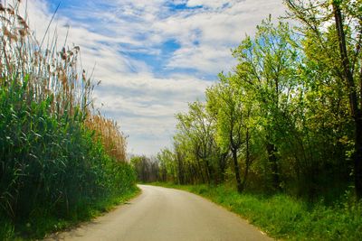 Empty road along plants and trees against sky