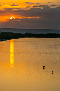 Scenic view of sea at sunset