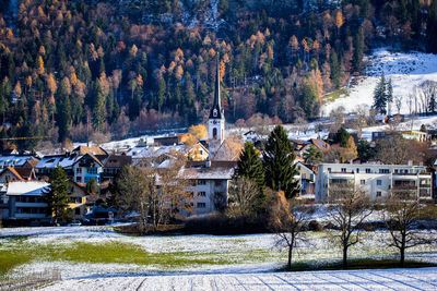 Houses in winter season