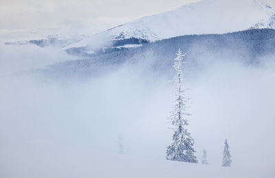 Snow covered landscape against sky