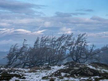 Scenic view of snow covered landscape against sky