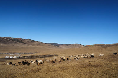 Scenic view of field and mountains against clear blue sky