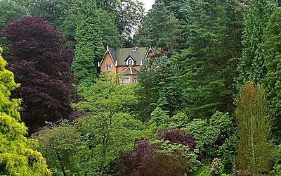High angle view of house amidst trees in forest