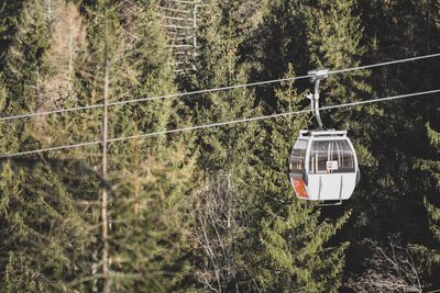 Overhead cable car amidst trees in forest