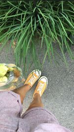 Low section of person standing by plants
