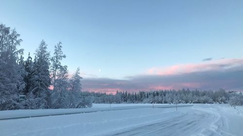 Snow covered land and trees against sky during winter