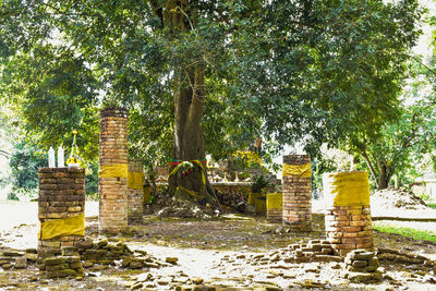 Old ruin against trees
