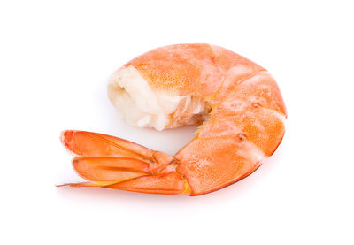 High angle view of shrimp over white background
