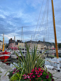 Sailboats moored in harbor against sky