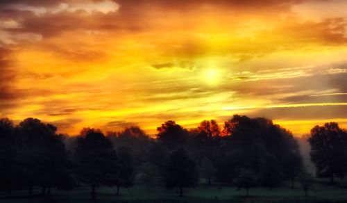 Trees on landscape against orange sky