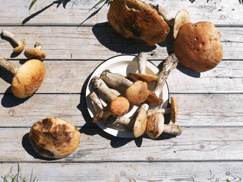 High angle view of mushrooms on table