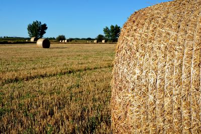 Hay bales on field against sky