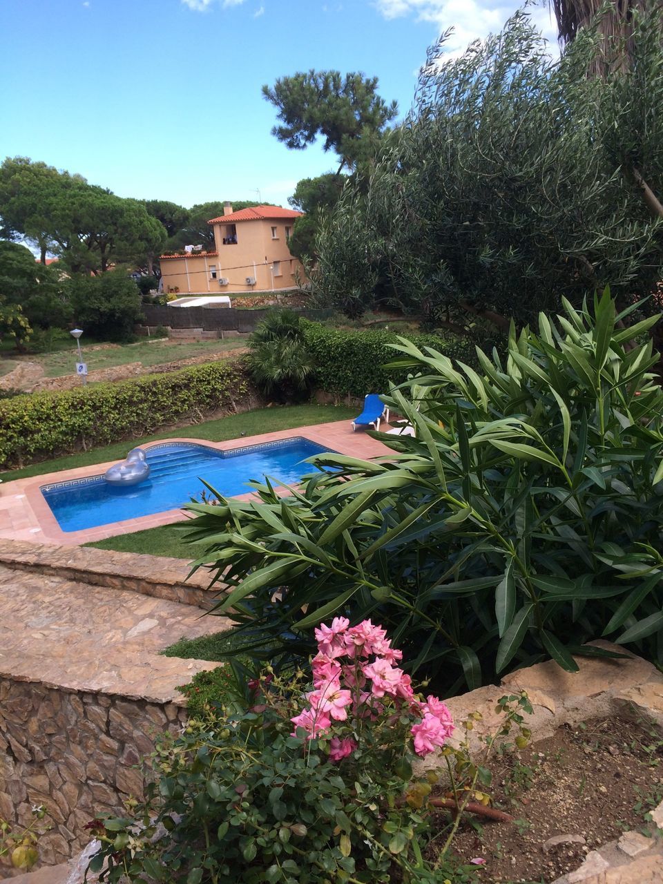 building exterior, tree, architecture, built structure, plant, growth, house, sunlight, sky, blue, water, day, palm tree, nature, flower, outdoors, green color, swimming pool, shadow, sunny