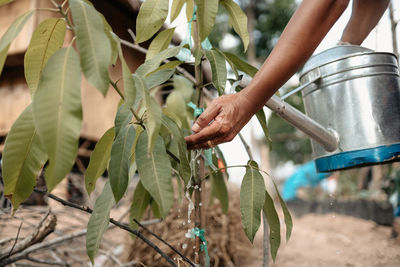 Midsection of woman holding plant