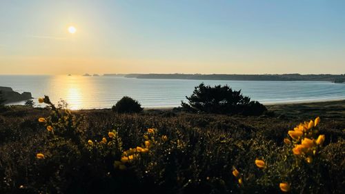 Scenic view of sea against sky during sunset