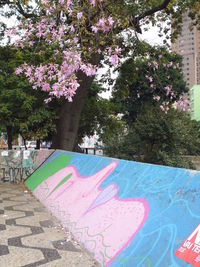 Pink flowers on tree