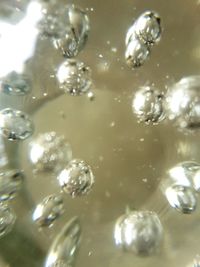 Close-up of water drops on glass