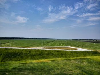 Scenic view of grassy field against sky