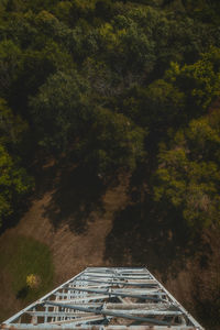 High angle view of road amidst trees in forest