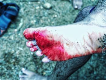 Close-up of hand on red leaf
