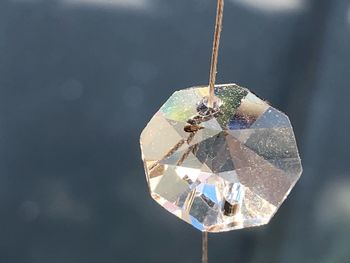 Close-up of umbrella hanging on glass