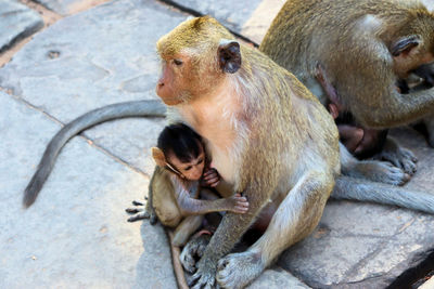 Family sitting outdoors